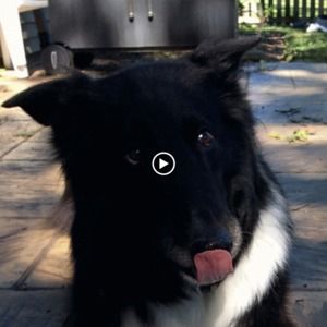 Meet your Posher, Kevin